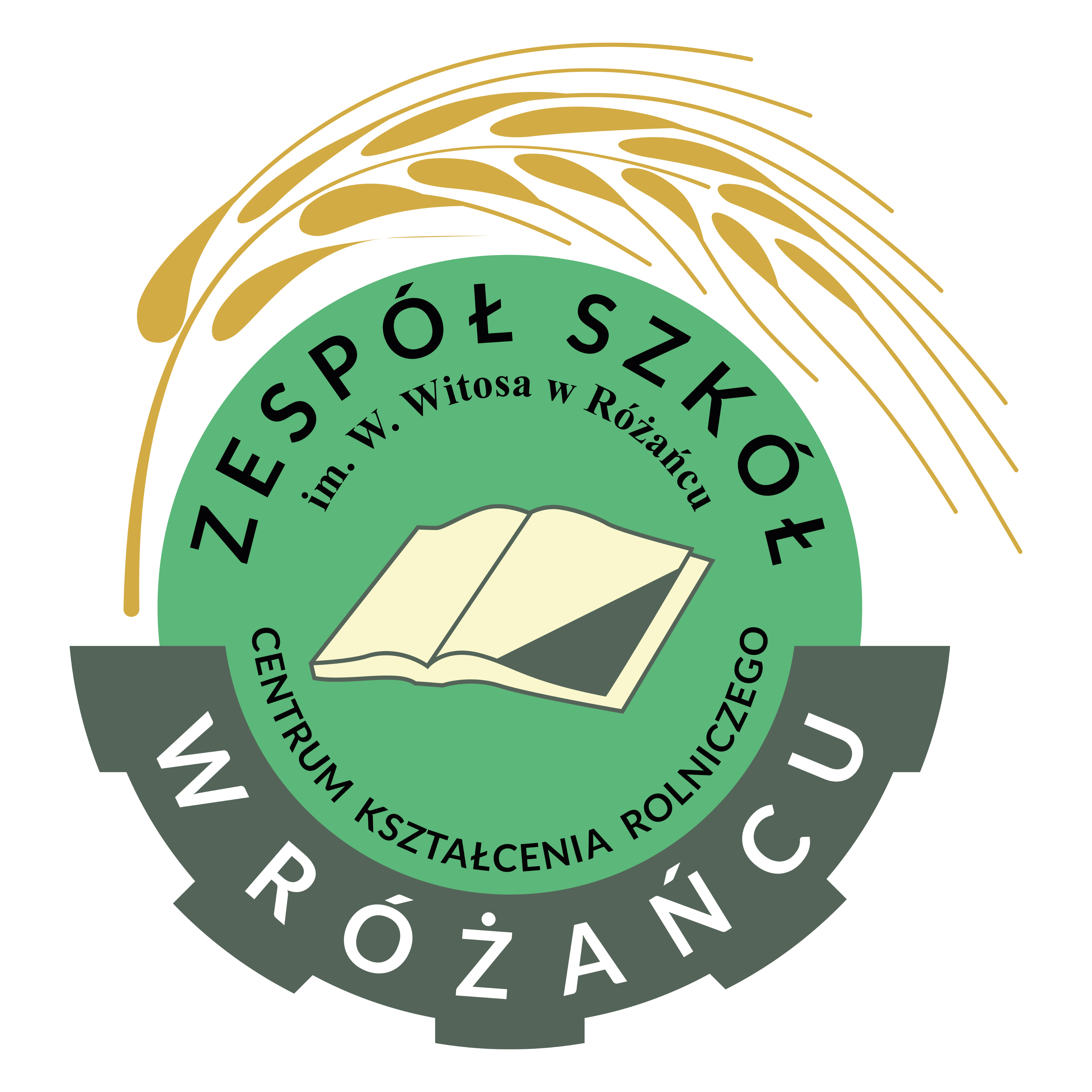 Logo szkoły w Różańcu