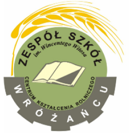 Serwis internetowy szkoły w Różańcu